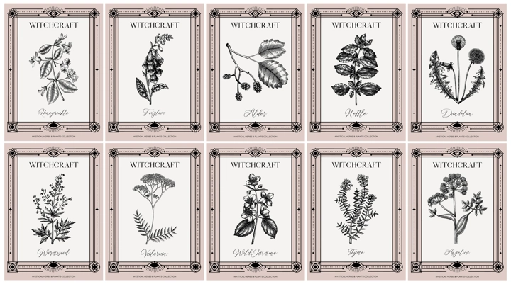 Art deco apothecary labels set. Witchcraft, healing herbs, mystical plants sketches. Vintage frame design templates. NOT AI generated